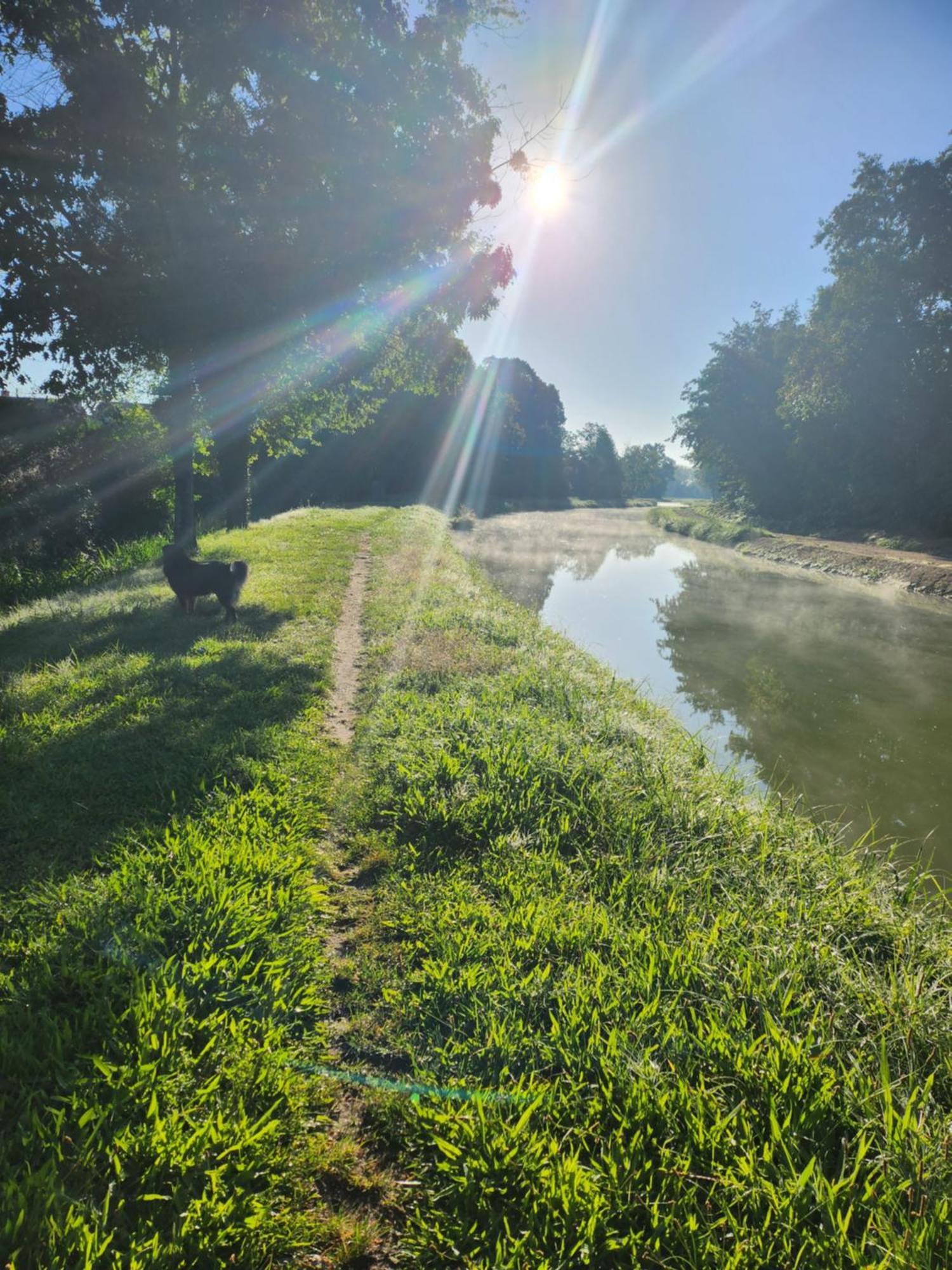 Les Peupliers Villa Noyers sur Cher Bagian luar foto